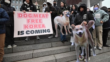 Animal rights activists hold placards during a rally welcoming a bill banning dog meat trade at the National Assembly in Seoul on January 9, 2024. South Korea's parliament on January 9, passed a bill banning breeding, slaughtering and selling dogs for their meat, a traditional practice that activists have long called an embarrassment for the country. (Photo by JUNG YEON-JE / AFP)