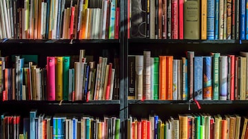 5 livros de autores LGBTQIAPN+ para conhecer e adicionar à sua biblioteca. Foto: Pixabay