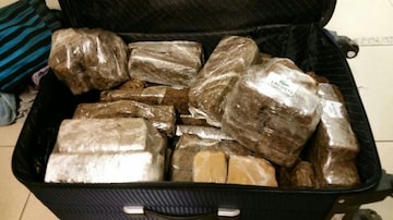 Drogas apreendidas durante a Operação Cavalo Doido. Foto: Polícia Federal/Divulgação