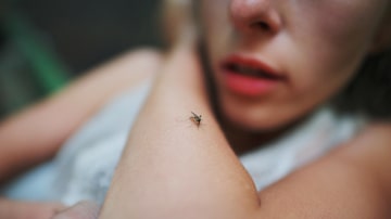 A mosquito sits on the woman's hand and sucks blood. Pain, itching, danger of infection. Foto: raisondtre/Adobe Stock   