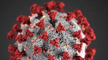 Imagem do novo coronavírus. Foto: CDC/ Divulgação