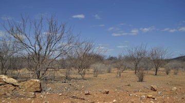 Lago seco da usina deSobradinho em 2013. Foto: NATHI BESERRA/ESTADÃO