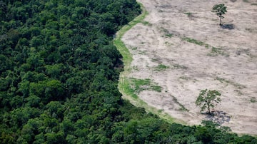 Amazônia teve 5.151 km² de área desmatada em 2023. Foto: Tiago queiroz/Estadão