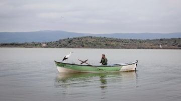 Adem Yilmaz pesca no barco com a companheira cegonha, Yaren. Foto: Ivor Prickett/The New York Times