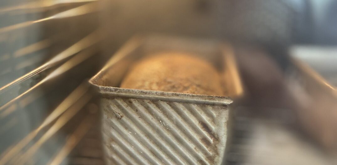 Pão de forma pode ser tão artesanal quanto as versões assadas direto no forno. Foto: Papoula Ribeiro