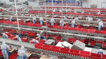 WH Group é maior produtor de proteína animal da China. Foto: Dominique Patton/ Reuters