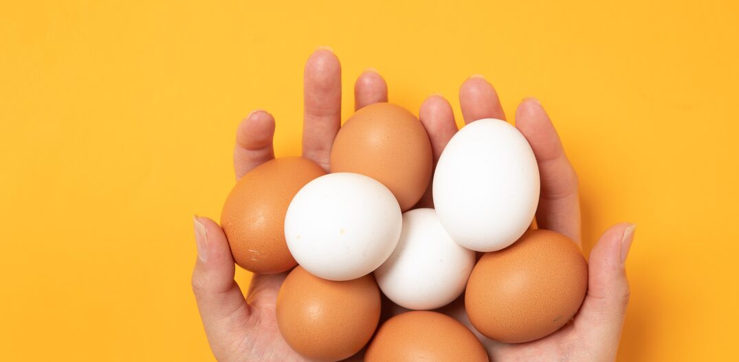 Modode criação das galinhas define o tipo de ovo que chega ao supermercado. Foto: Daniel Teixeira/Estadão