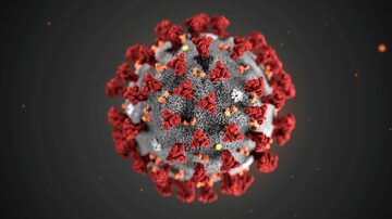 Ilustração do novo coronavírus (2019-nCoV), responsável pela doença covid-19. Foto: Reuters