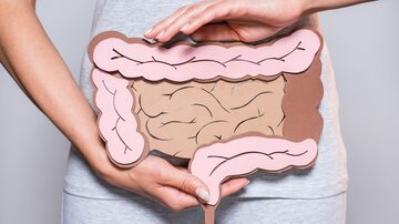 partial view of woman holding paper made large intestine on grey background. Foto: LIGHTFIELD STUDIOS/Adobe Stock