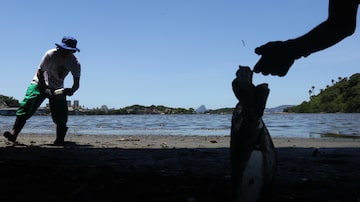 PKMANG- RJ - 20/12/2023 - CALOR / RIO - METRÓPOLE OE - Mutirantes do projeto Guardiões do Mangue,  realizam limpeza em manguezal e prainha na ilha do governador. FOTO: PEDRO KIRILOS / ESTADÃO. Foto: PEDRO KIRILOS