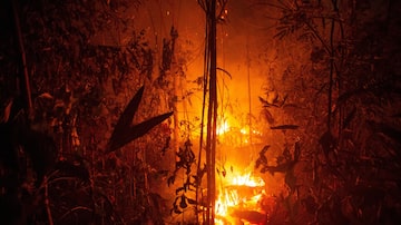 Queimada avança sobre floresta na região de Porto Velho, em Rondônia. Foto: EFE/ Joedson Alves