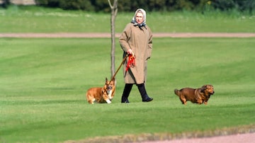 A rainha Elizabeth II passeia com seus cães no Castelo de Windsor, em abril de 1994. Foto: Julian Parker/EFE/UK Press via Getty