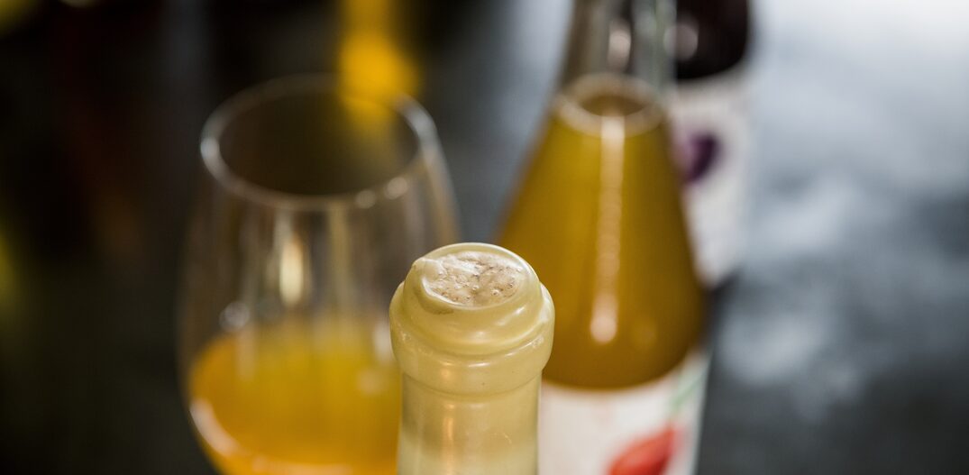 Bebidas fermentadas nãoo convencionais, como asda Cia.dos Fermentados, estão em alta entre produtores. Foto: Ding Musa