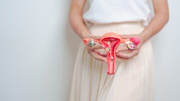 Woman holding Uterus and Ovaries model. Ovarian and Cervical cancer, Endometriosis, Hysterectomy, Uterine fibroids, Reproductive, menstruation, Stomach, Pregnancy and Sexual Transmitted disease. Foto: Jo Panuwat D/Adobe Stock  