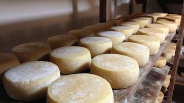 O novo queijo do Serro é mais maturado, mas mantém a acidez característica dos queijos da região. Foto: Eduardo Tristão Girão|Estadão 