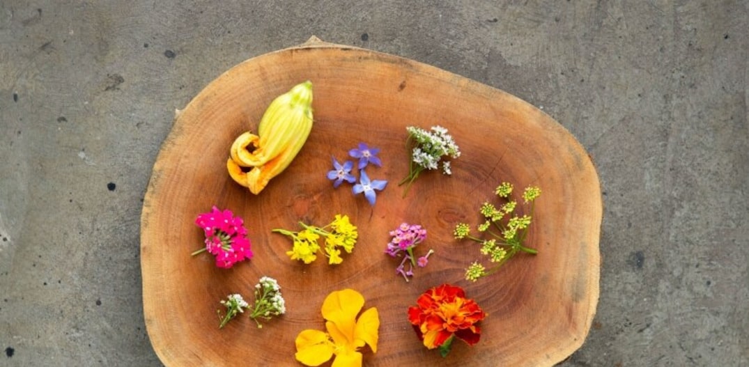 Flores de verbena, coentro, mel, borago, tagete, salsinha, abobrinha, goiabinha, capuchinha e mostarda. Foto: Daniel Teixeira|Estadão