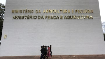 Fachada do Ministério da Agricultura e Pecuária e do Ministério da Pesca e Aquicultura. Foto: Antonio Araujo/Mapa