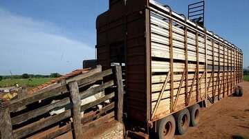 O negócio prevê que duas unidades de bovinos da BRF em Mato Grosso passarão para a Minerva em troca da transferência de 15,2% das ações da empresa para a BRF. Foto: Evelson de Freitas/Estadão