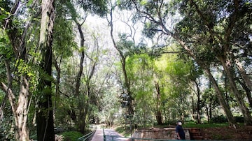 Parque Augusta - Bruno Covas será palco do lançamento da Agenda 2030, compromisso de sustentabilidade firmado pela Prefeitura de São Paulo com a ONU. Foto: WERTHER SANTANA/ESTADÃO - 05/11/2021
