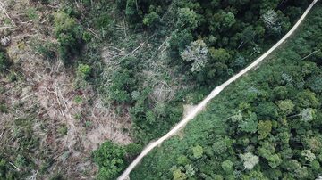 Altamira (foto) e São Félix do Xingu, no Pará, lideram a lista de cidades com mais emissões no País. Foto: REUTERS/Nacho Doce