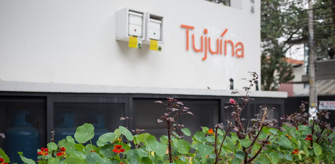 Tuju deu lugar ao novo Tujuína. Foto: Tiago Queiroz/Estadão 