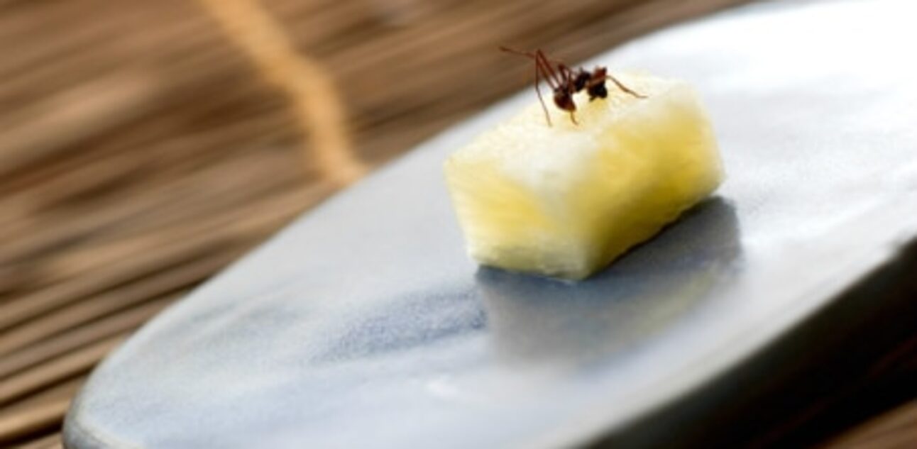 Abacaxi com formiga servida pelo chef Alex Atala