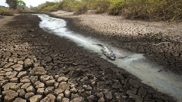 O Pantanal tem sofrido com grandes secas nos últimos anos. Foto: Araquém Alcântara