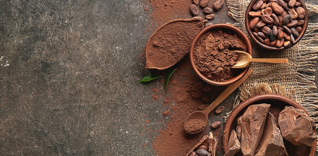Composition with cocoa powder and chocolate on dark background. Foto: Pixel-Shot - stock.adobe.com