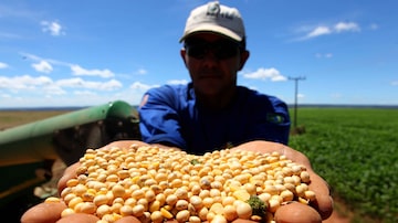 Cultura de soja é uma das mais demandadas para seguro agrícola. Foto: Dida Sampaio/ Estadão