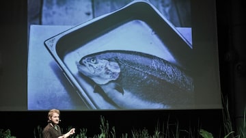 Doug McMaster, chef britânico é um dos ícones da cozinha sustentável. Foto: Ricardo D'Angelo