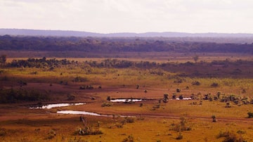 Parques do Mapinguari (Rondônia, acima), da Serra da Bocaina (São Paulo), e da Serra dos Órgãos (Rio) são unidades que podem sofrer redução. Foto:  ICMBio