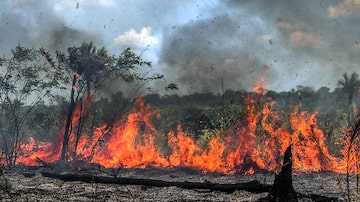 Avanço das queimadas na região causou repercussão global. Foto: GABRIELA BILO / ESTADAO