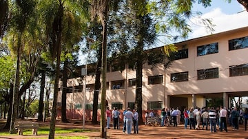 Universidade Federal do Paraná decide afastar preventivamente veteranos suspeitos de aplicar trote violento contra calouros. Foto: Samira Chami Neves/ UFPR 