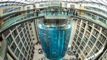 (FILE) A view of the AquaDom, the largest freestanding cylindrical aquarium in the world located in Berlin, Germany, 29 July 2015 (re-issued on 16 December). A 14-meter aquarium has burst at a hotel in downtown Berlin, injuring two people, German rescue services said on 16 December 2022. The home to around 1,500 exotic fish spills 1 million liters of water and floats a major road in the Mitte district, emergency services said. EPA/JOERG CARSTENSEN
. Foto: Joerg Carstensen