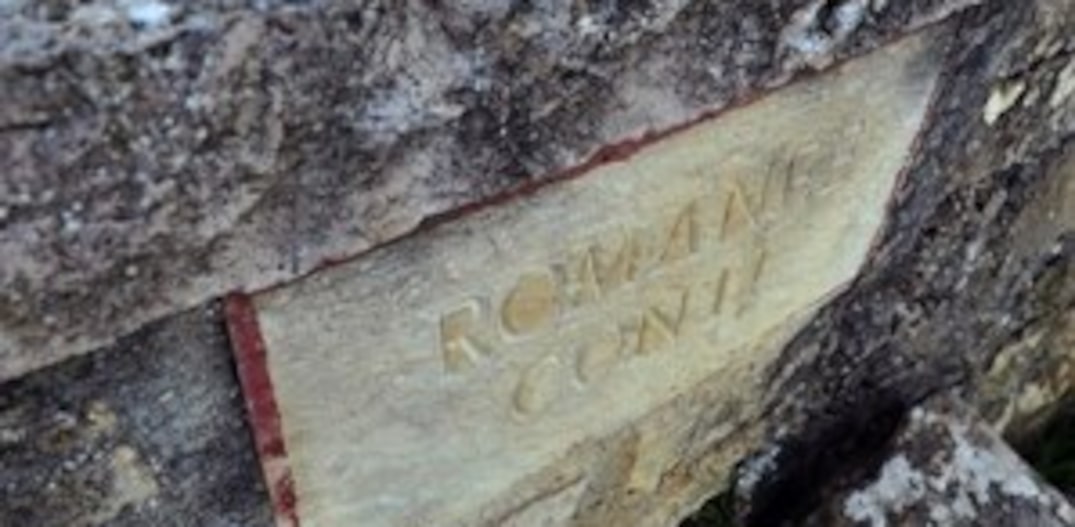 Romanée-Conti amplia área de produção