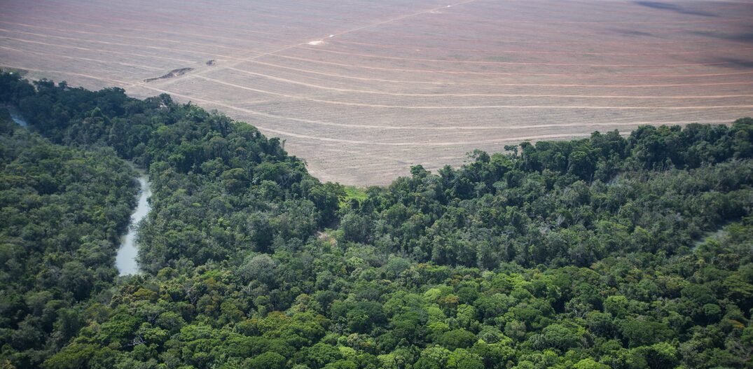 De agosto de 2016 a julho de 2017, o desmatamento em todo o bioma foi de 7,4 mil km². Foto: TIAGO QUEIROZ/ESTADÃO