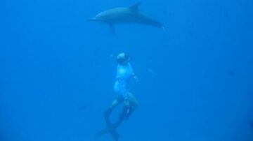 Transferência do servidor, que realiza estudos e pesquisas há décadas sobre golfinhos oceânicos e oceanografia na região, foi assinada no início deste mês. Foto: José Martins da Silva Júnior/ Divulgação