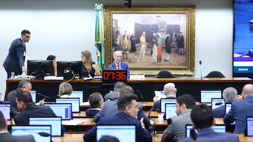 Rui Falcão CCJ. Foto: Vinicius Loures/Câmara dos Deputados