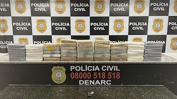 Polícia apreende 60 quilos de droga em caminhão dos Correios em Gravataí, no Rio Grande do Sul. Foto: Polícia Civil/Estado do Rio Grande do Sul