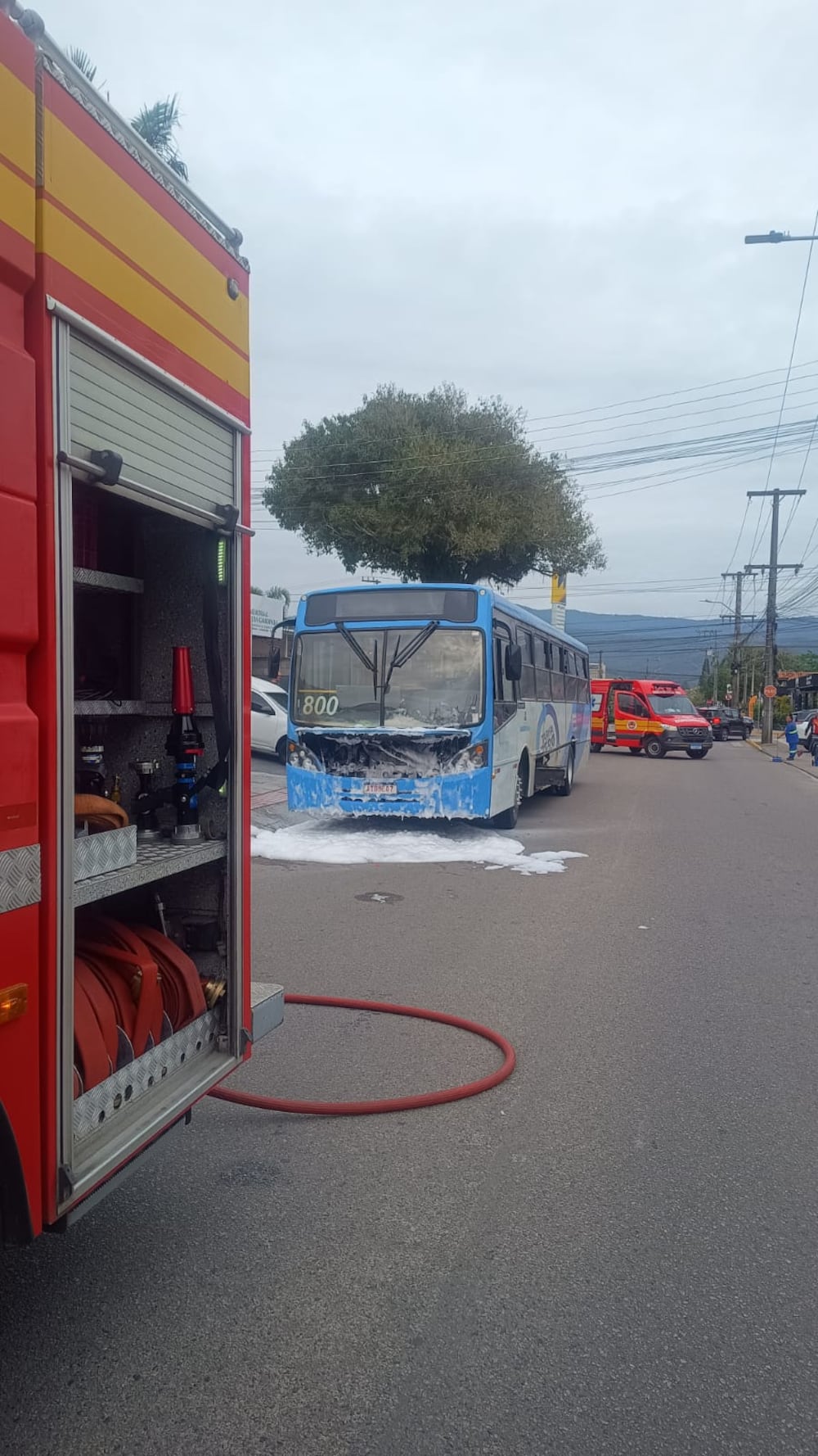 Vídeo: Passageiros quebram janelas e pulam de ônibus no interior de SC após princípio de incêndio