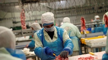 BRF realizou 11 mil testes de coronavírus apenas em Toledo e afirmou que é uma das empresas do setor que mais tem testado trabalhadores. Foto: Bernadett Szabo/Reuters 