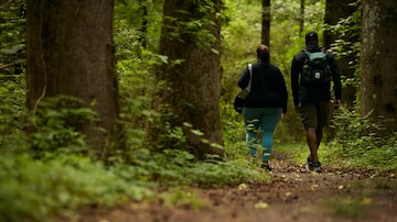 People hike through a park in Marietta, Ga., May 19, 2023. Exploring the great outdoors offers a host of mental and physical benefits. But there are a few things you need to know first. (Bee Trofort/The New York Times). Foto: Bee Trofort/The New York Times