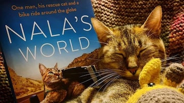 O livro sobre as viagens da gatinha Nala foi publicado no dia 29 de setembro deste ano. Foto: Reprodução Instagram/ @1bike1world