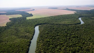 O texto ressalta que 60% da Amazônia pertence ao Brasil e afirma que as políticas do presidente Jair Bolsonaro têm colocado em risco a maior floresta tropical do mundo. Foto: Tiago Queiroz/Estadão