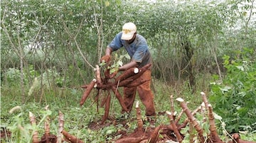 Regras para aposentadoria de trabalhadores rurais precisarão ser modificadas em algum momento. Foto: Vidal Cavalcante/ESTADÃO