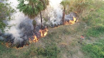 Incêndios em áreas de mata do Pantanal, em Corumbá, Mato Grosso do Sul. Região tem recorde de queimadas em 22 anos. Foto: CBMS/Divulgação