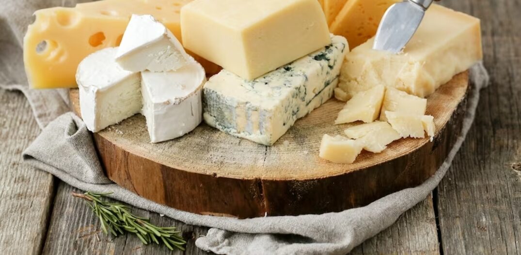 Diferentes tipos de queijos. Foto: Imagem: Freepik
