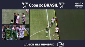 Marcação do impedimento do gol  Palmeiras. Foto: reprodução