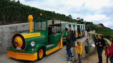 Lavaux Express:O trenzinho amarelo percorre as vinícolas, com parada para degustação. Foto: Marco Antonio Carvalho/Estadão