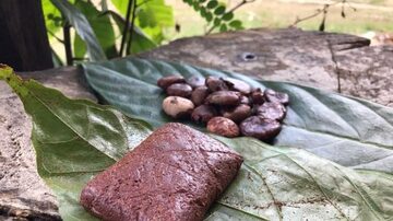 Uma nova forma de chocolate, feita de cupuaçu, se tornou uma renda extra para comunidade da Amazônia. Foto: Divulgação